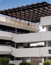 Líneas generales de conocimiento 