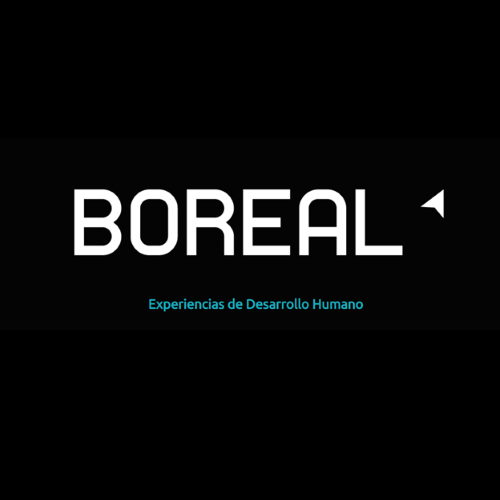 Boreal Consulting