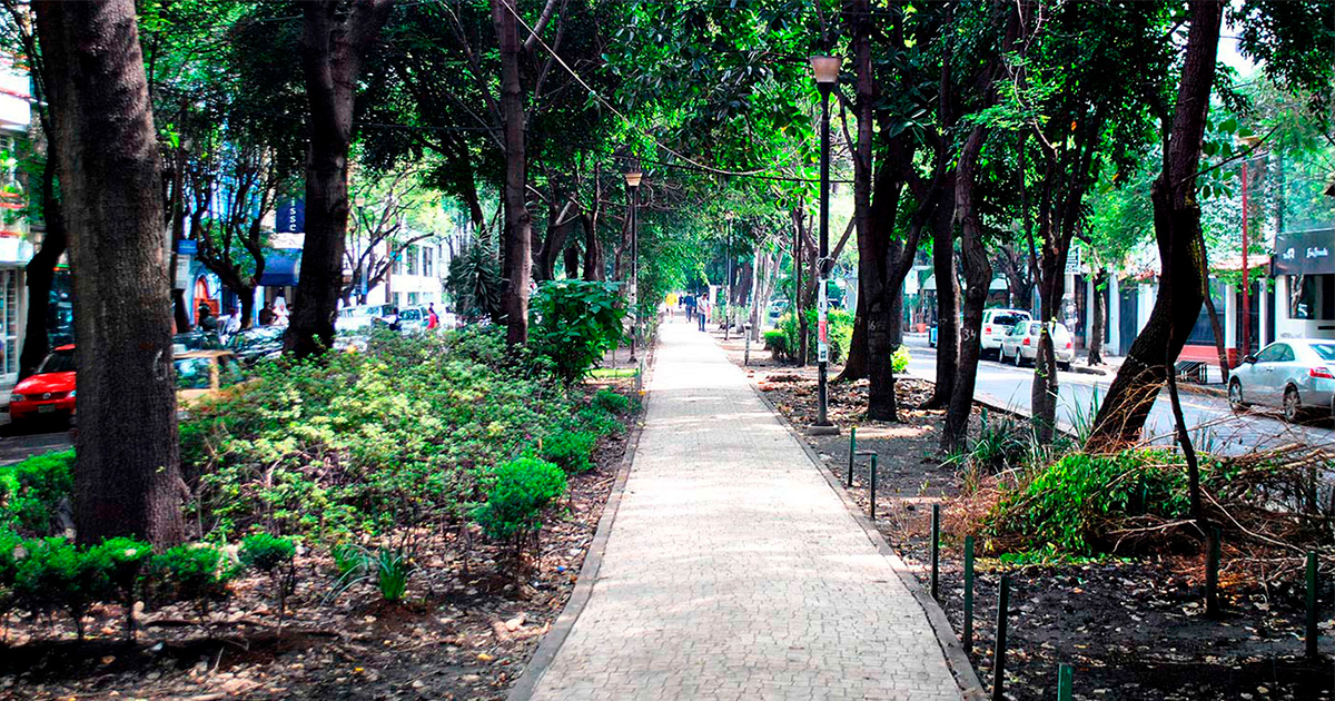 Universidad La Salle - 